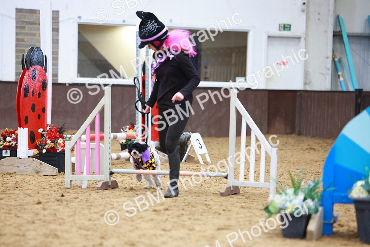 SBM_001568 - Class 3 - Horse & Hound (60cm)