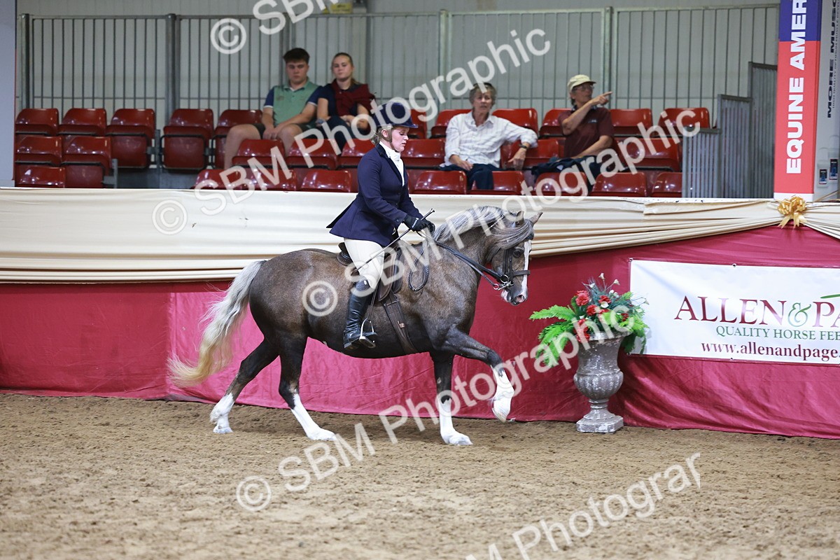 SBM_18551 - Class 952 - M&M Ridden Supreme Final