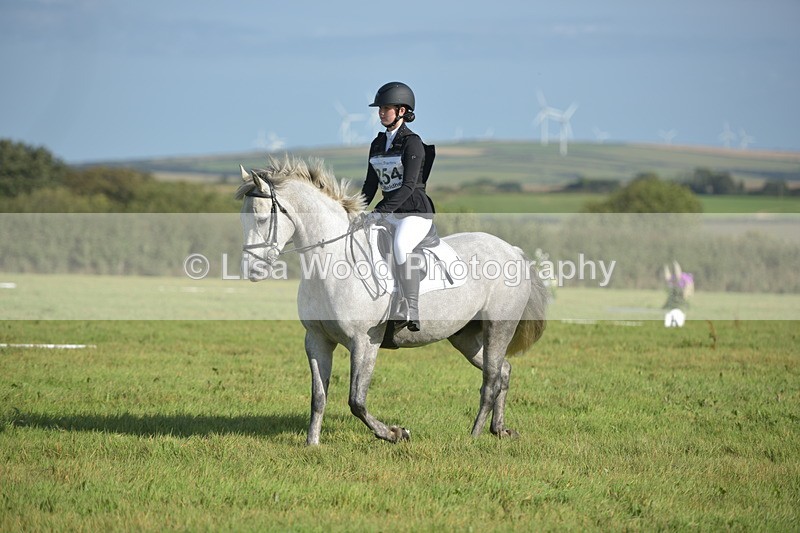 RAY_7358 - Class 2B: Trekenning Open: Dressage