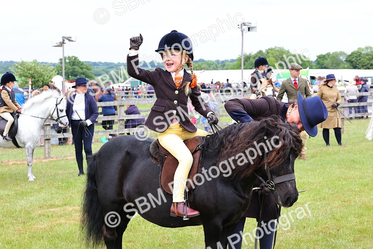 SBM_08342 - Class 42-43 - LIHS BSPS Heritage Working Sports Pony