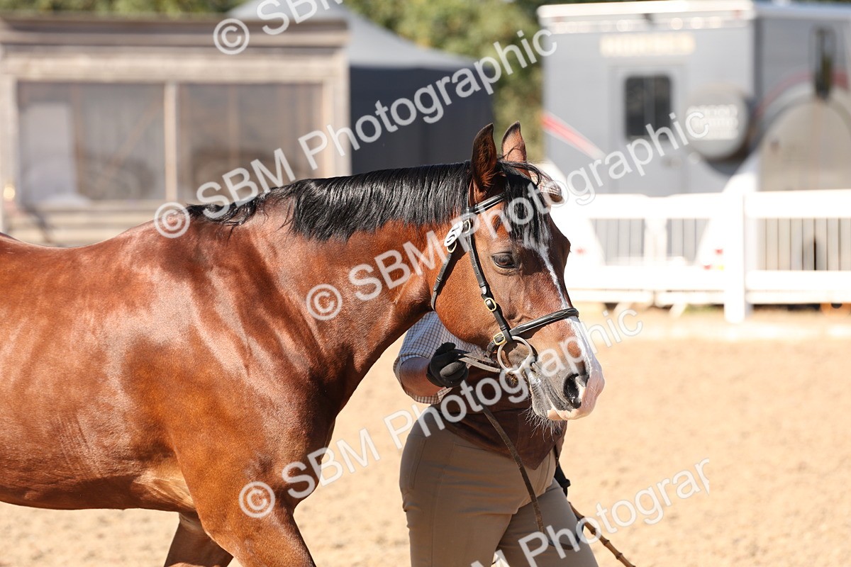 SBM_14027 - Class 207 - IH M&M