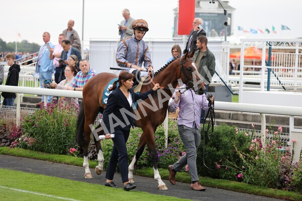 yr22072022r4-7 - Race 4 6.50pm The IRE Incentive It Pays To Buy Irish EBF Restricted Novice Stakes