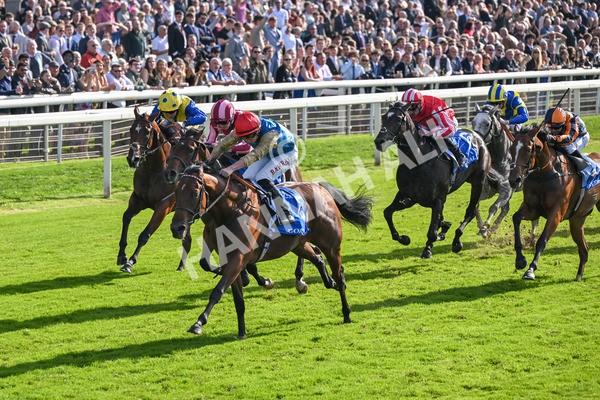 111025-Race 1-Division-8226 - Race 1 Coral Rockingham Stakes at York