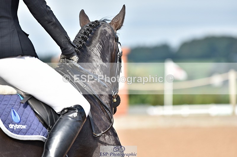 230810A-093850-00113 - Cls 8 British Novice & 90cm Open