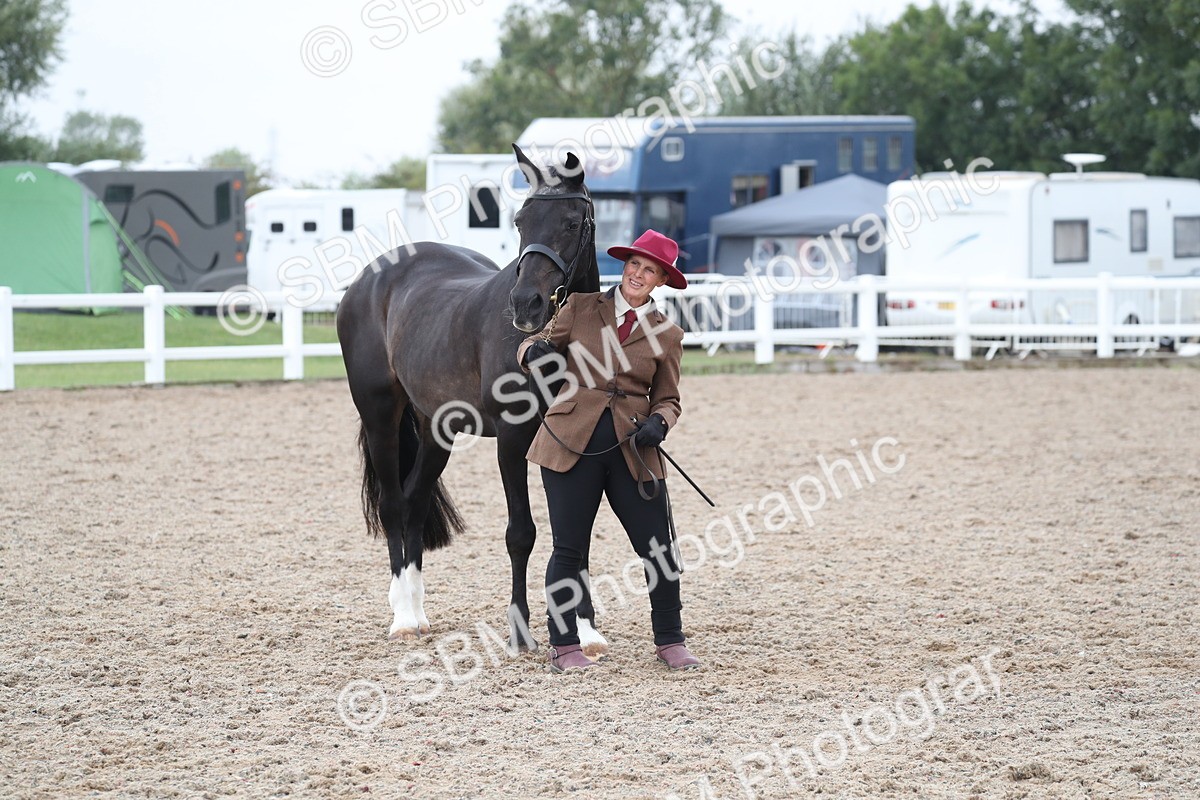 SBM_22560 - Class 604 - 2025 Area - IH Diamond