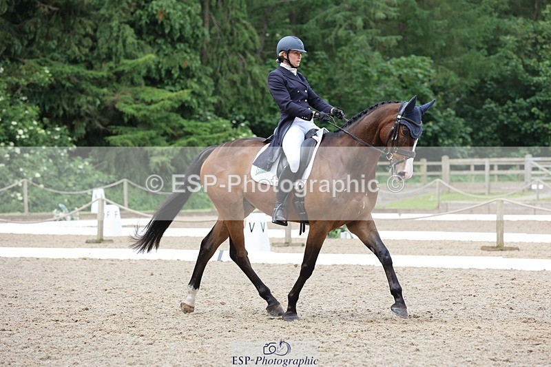 240523-104133-03371 - 214-DSH_GOLDEN_EYE-Lucinda_Mesquita