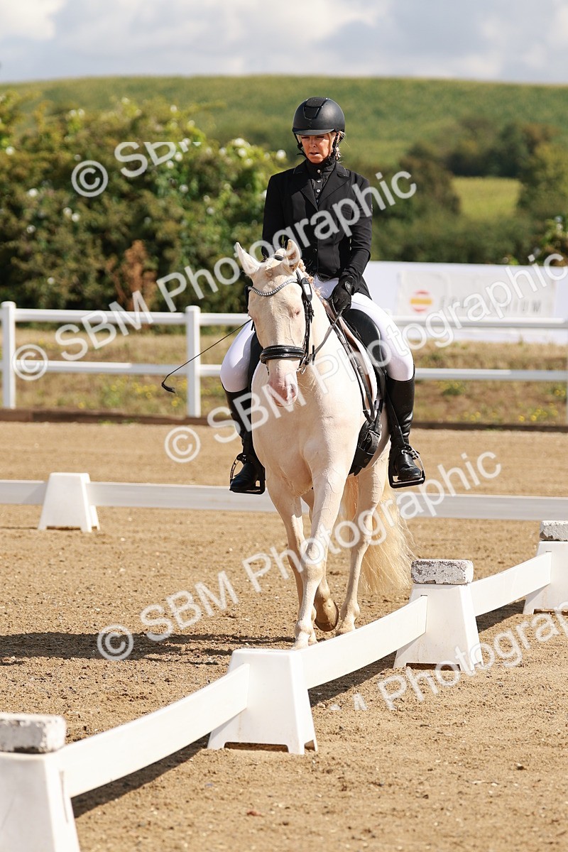 SBM_000325 - Class 2 - Prelim 6