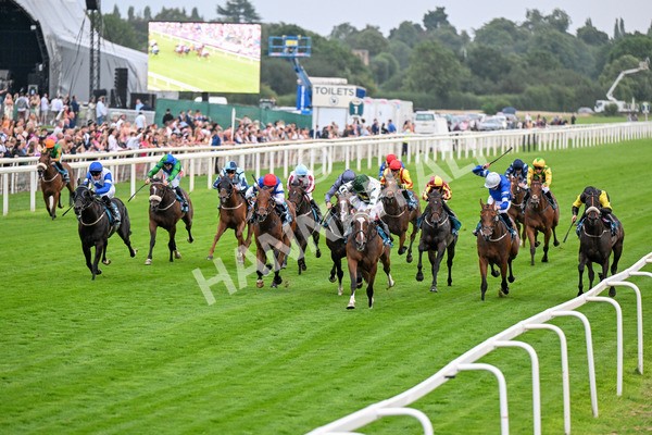 250725-Race 6-Luna A Inbhir Nis-0812 - Race 6 8.23pm Sky Bet Go-Racing-In-Yorkshire Summer Festival Handicap