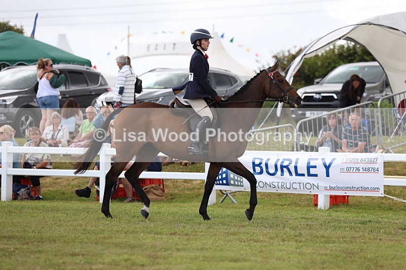 3E7A2330 - Class 11: Retraining of Racehorse