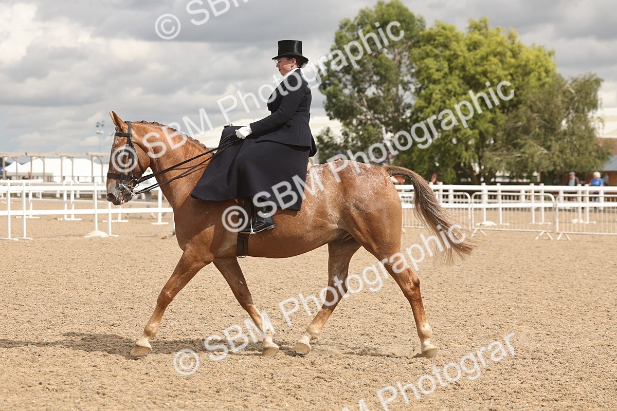 SBM_06347 - Class 22 - SSA - Equitation