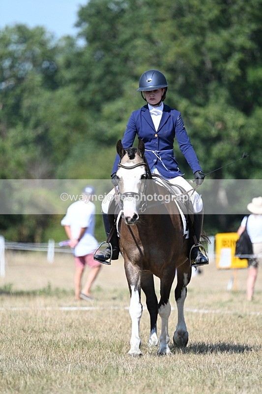 WJ7_0131 - Time 11:03 to 11:28