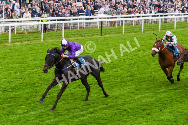 180523-Race 6-Cuban Thunder-0753 - Race 6 4.45pm Frank Whittle Partnership ebfstallions.com Maiden Stakes