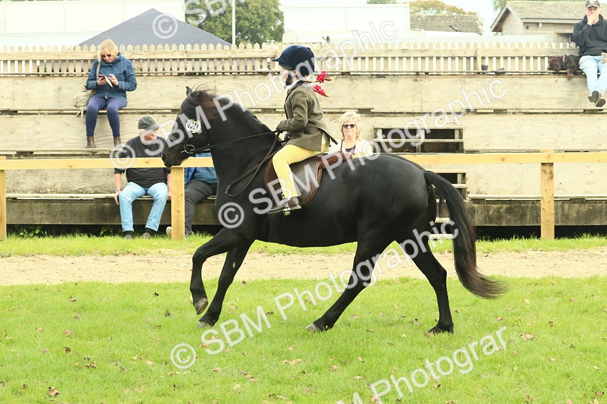 SBM_69973 - S59 - Mountain & Moorland Ridden Small Breeds