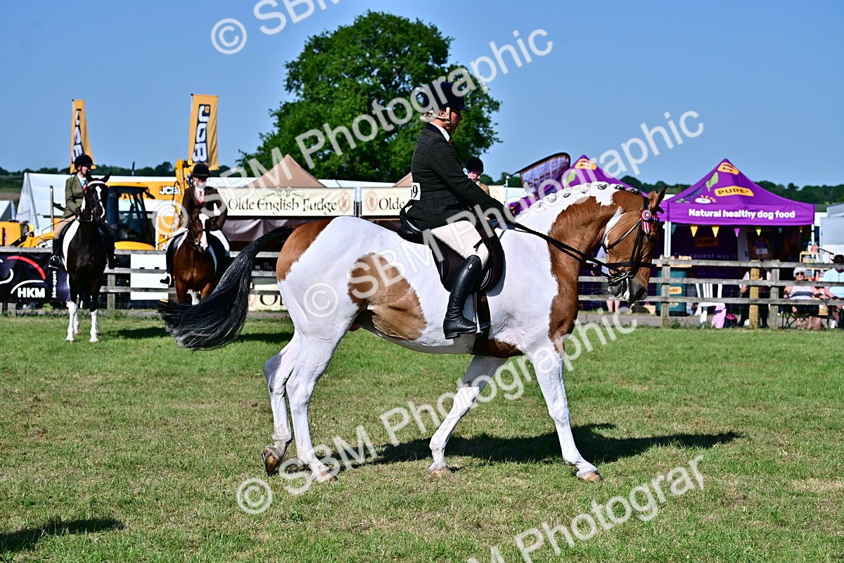 SBM_19528 - Class 101-102 - BSPS LIHS Performance Coloured Horse/Pony