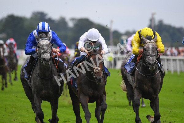yr21082021r2-17 - Race 2 2.25pm Sky Bet Melrose Stakes
