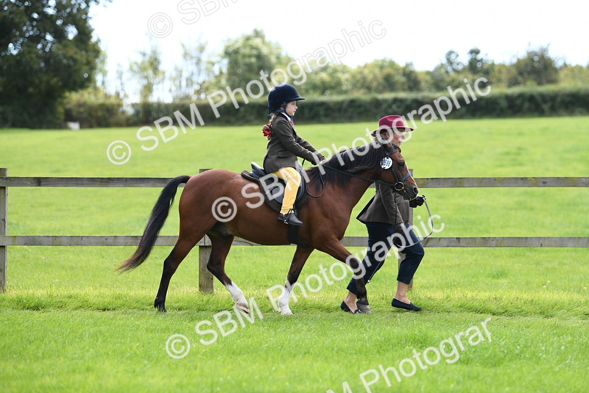 SBM_42491 - S20 - Lead Rein Mountain & Moorland Pony
