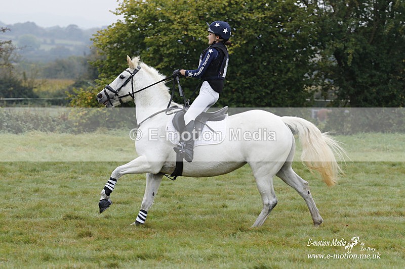 WWHT 171021 0551 - Novice Restricted (0.80m)  17/10/21