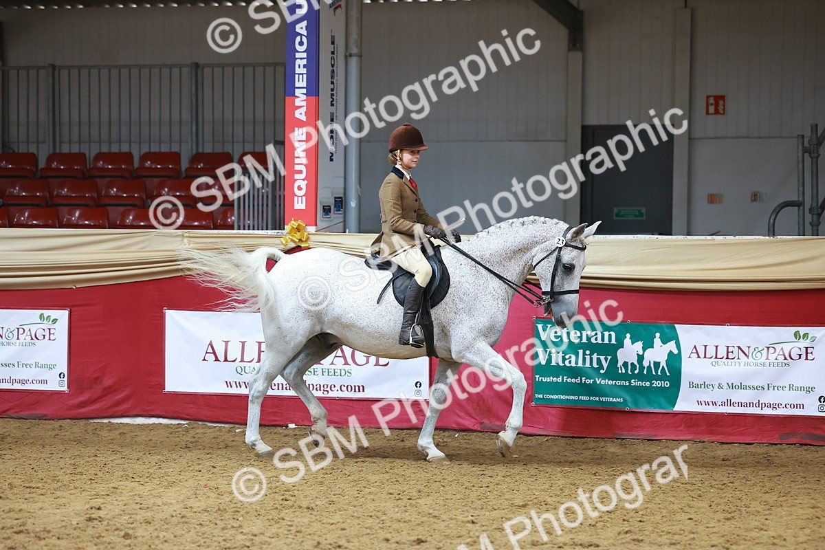 SBM_09377 - Class 102 - HOYS Veteran Qualifier - Ridden Veteran