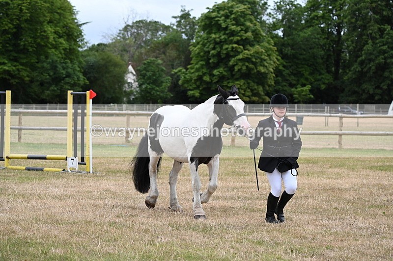 WJ6_4363 - Class 10 Coloured In-hand
