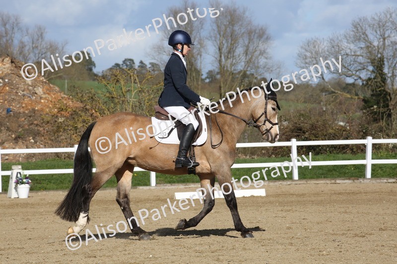 20260314-4253 - DR5 - Novice 1