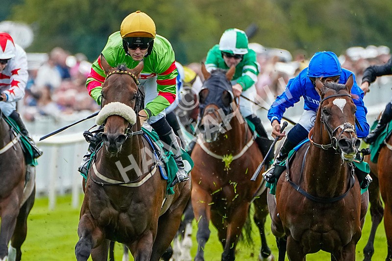050926-Race 5-Grasmere Boy-3 - Race 5 3.50pm Rudding Park Harrogate Handicap