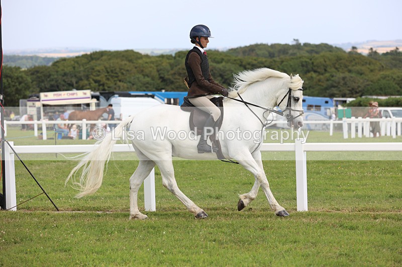 JPP_3841 - Class 23: Working Hunter 80cm