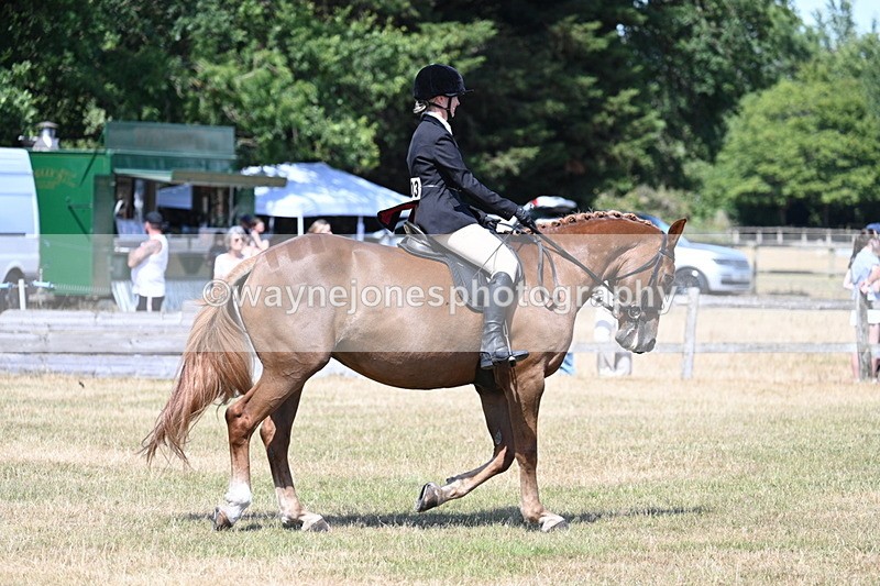 WJ7_3638 - Class 8 Ridden Veterans