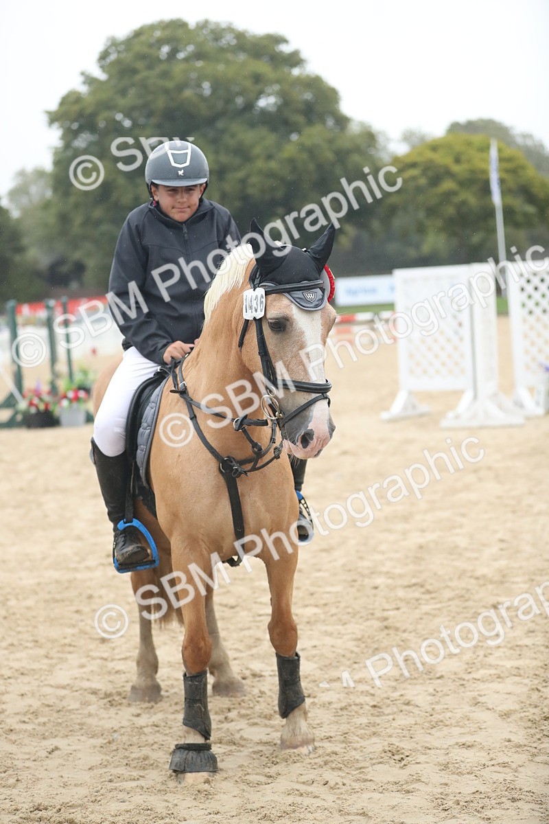 SBM_74314 - Supreme championship Junior Pony 70cm 75cm
