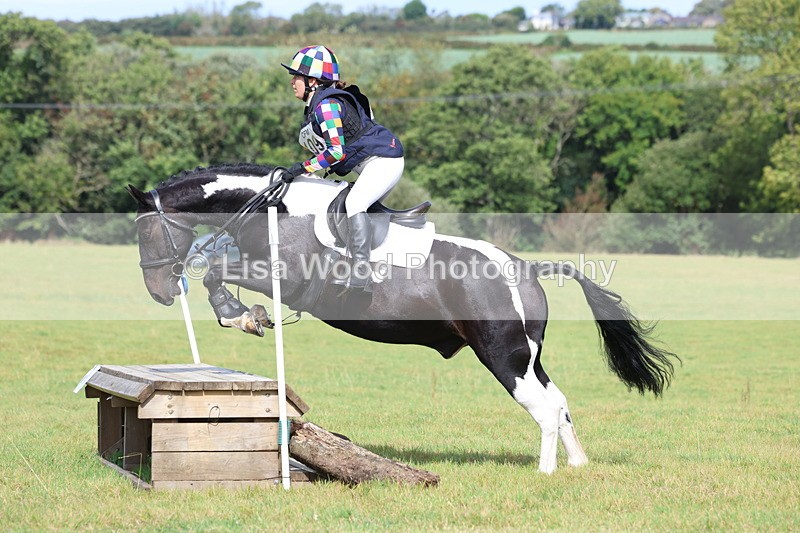 3E7A6542 - Class 1: Trebudannon Open: Pheasant Feeder
