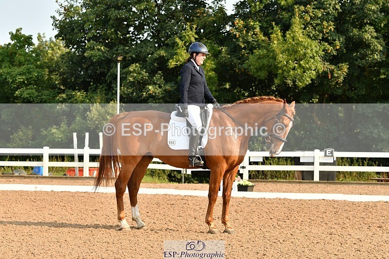 250817-090204-06738 - 080-Elizabeth.StoneZiggy