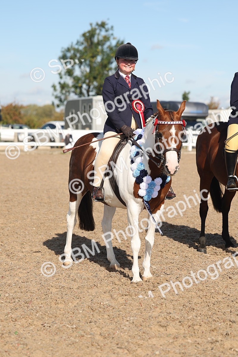 SBM_12403 - Class 304 - Ridden part Bred Horse Pony
