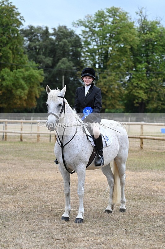 WJ7_1003 - Class 7 Riding Club Show Horse
