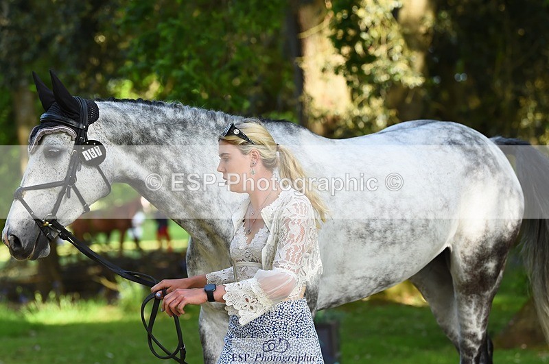 230524-170632-01289 - 167-COR_Y_TARAN-Toots_Bartlett-WEDTrotUp+DR