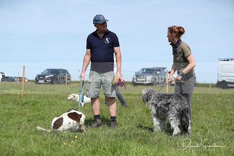 SPXX0538 - Dog show