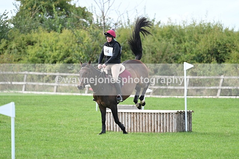 WJ7_8357 - 60cm Pairs