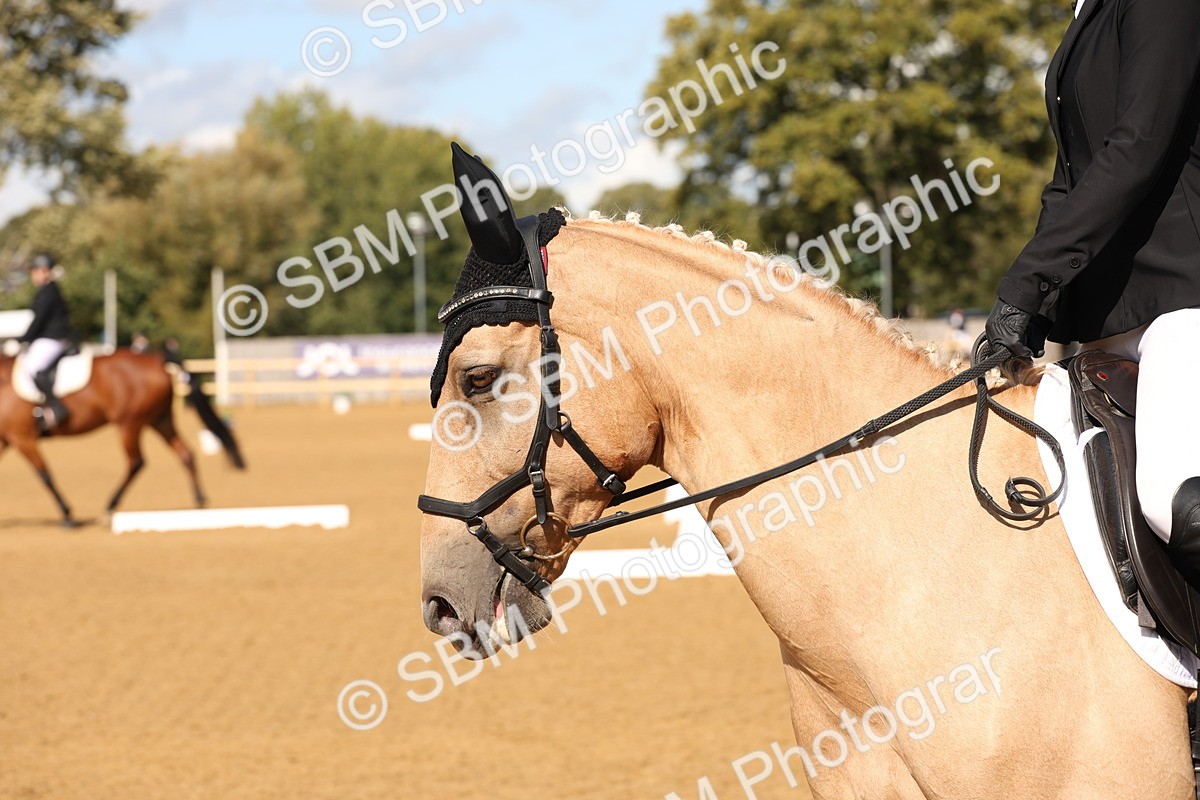 SBM_47396 - D12 - Small Tour Championship prelim 2