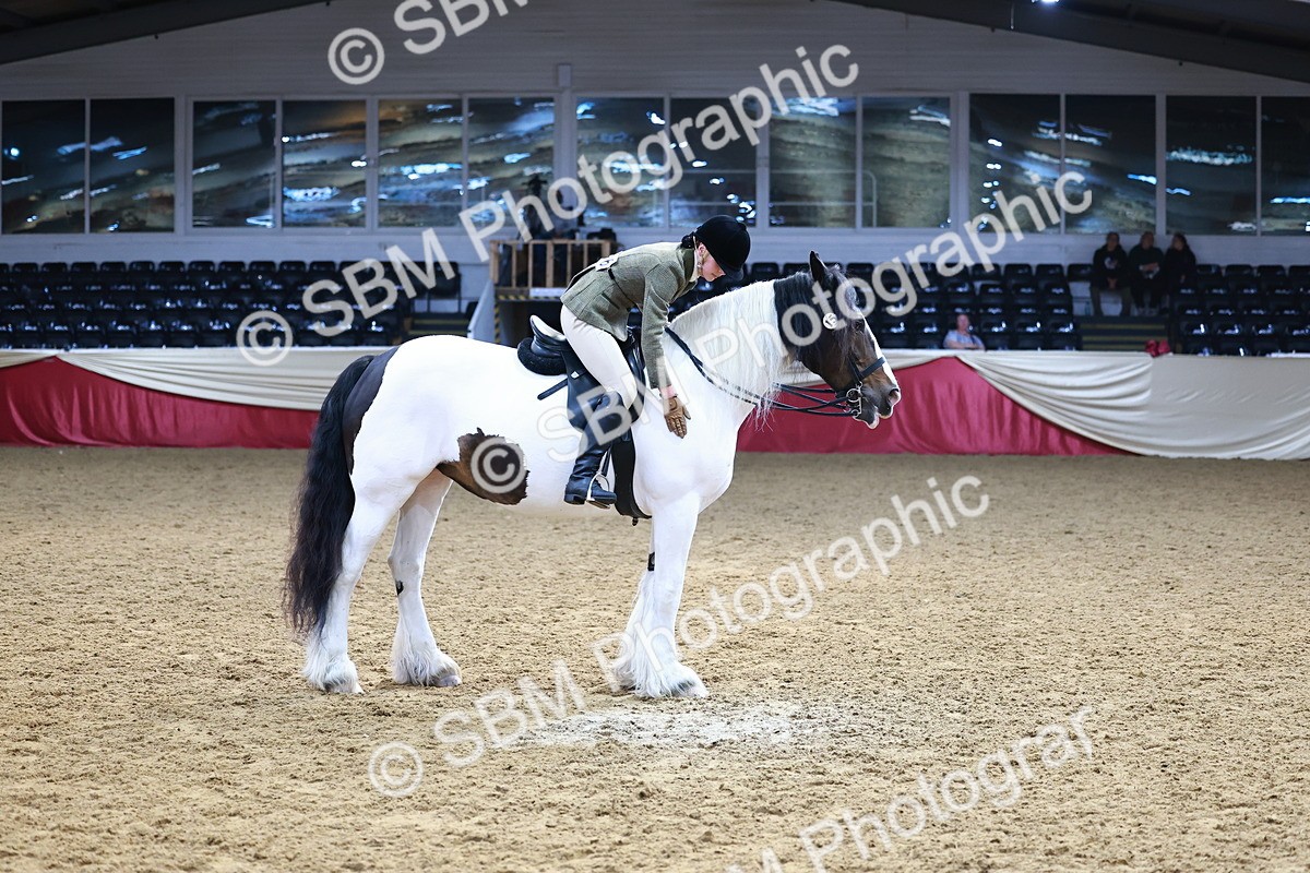 SBM_23504 - class 906 - Supreme Final - Ridden Pre Vet