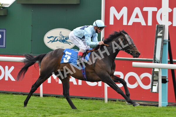 yr14052021r2-15 - Race 2 2.10pm Oak Farm Stables Fillies' Stakes (registered as the Michael Seely Memorial Stakes)