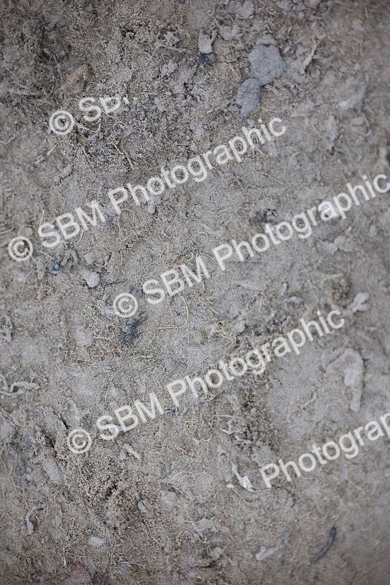 SBM_006334 - Evening Performance