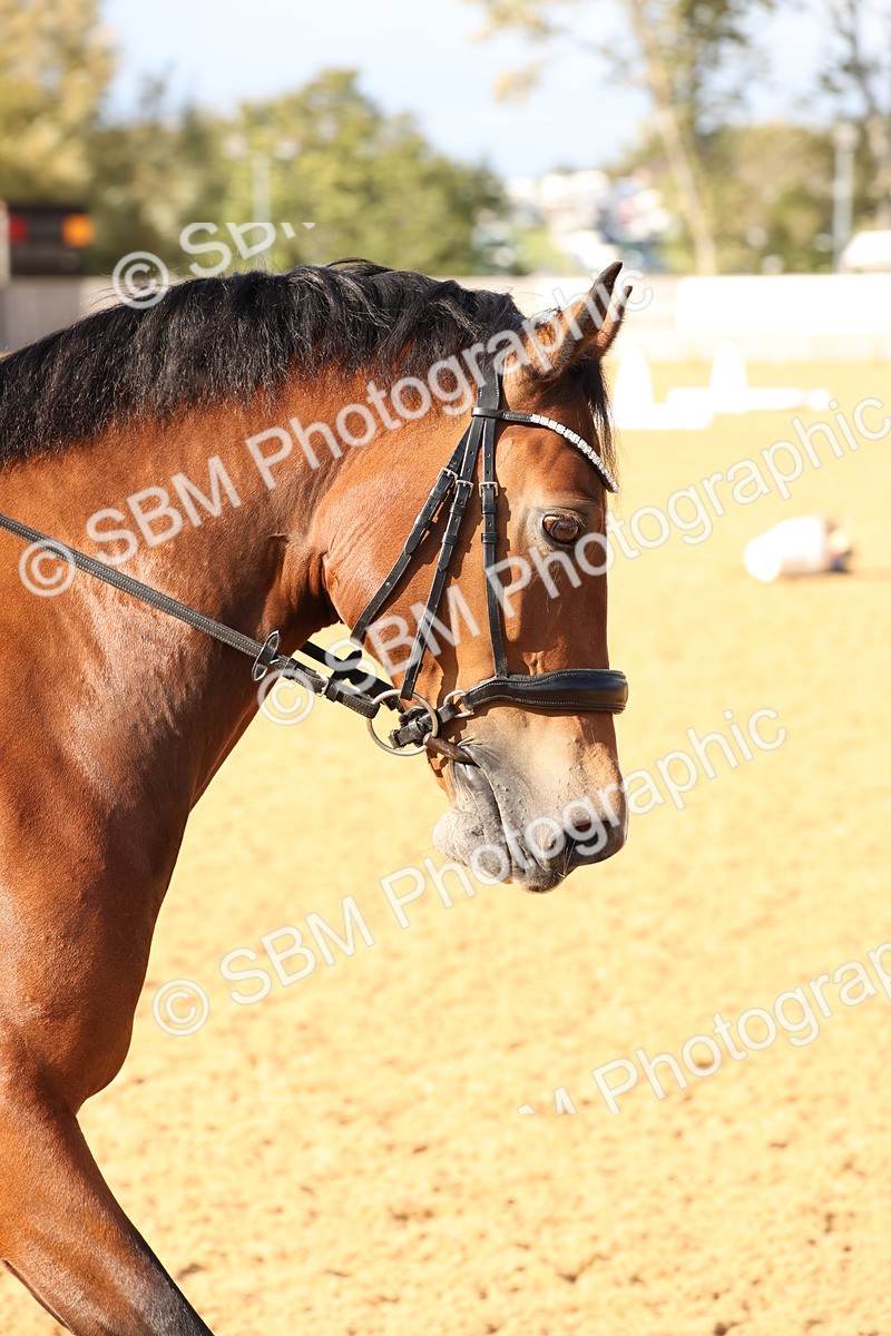 SBM_27003 - D17 - Grand Tour Championship Novice 3