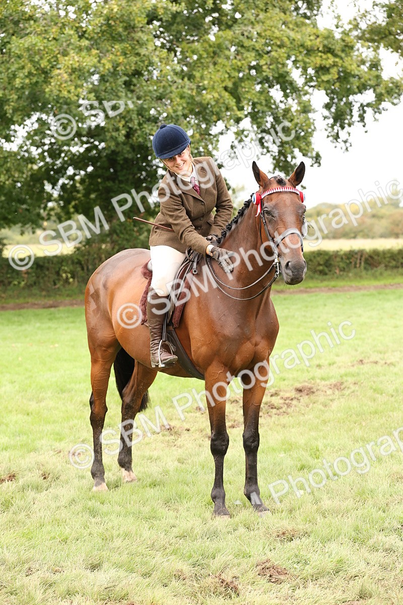 SBM_64298 - S65 - Riding Horse & Hack & Thoroughbred Ridden