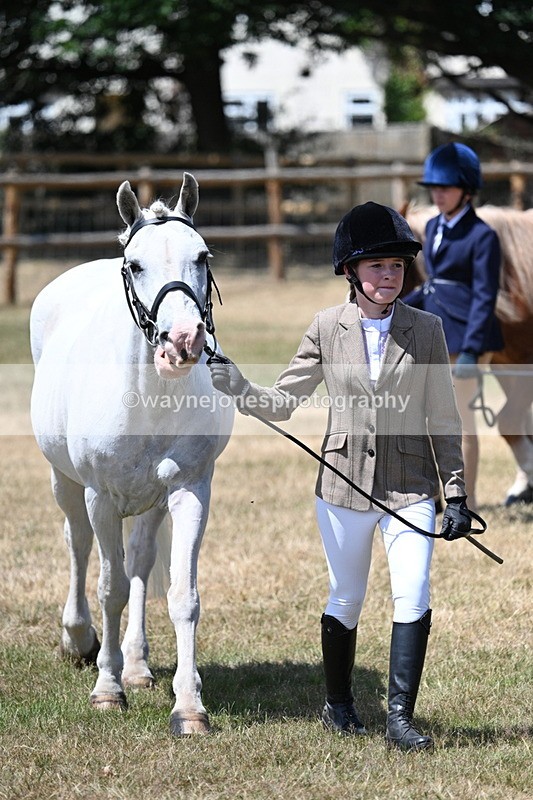 WJ7_2226 - Class 5 Most Handsome Gelding (up to 14.2hh) in hand