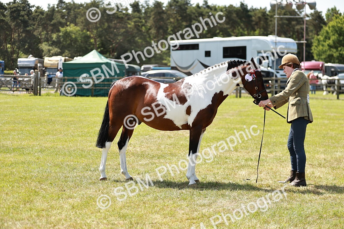 SBM_05456 - Class 41-45 - Riding Pony-Hunter Pony Breeding