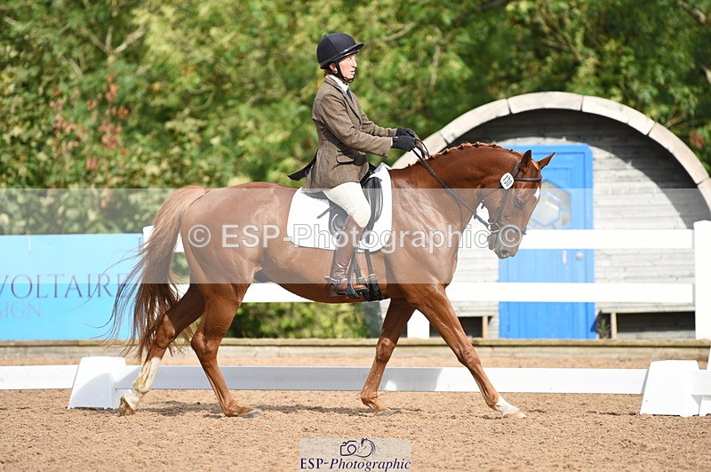 230912A-104436-00420 - Cls 5 Novice 39