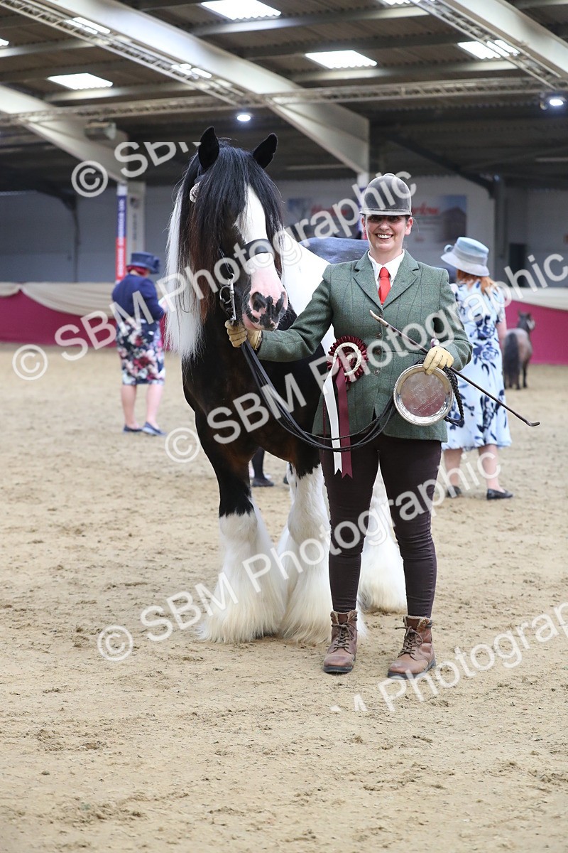 SBM_06456 - Class 9R Regional- IH Pre Vet