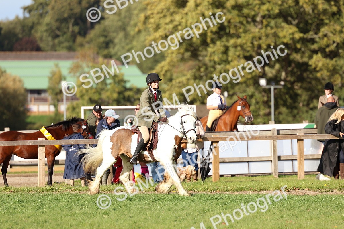 SBM_52474 - S13 - Pony Club Pony