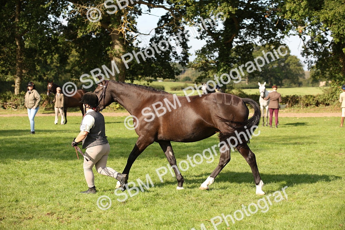 SBM_60120 - S53 - Hunter In Hand