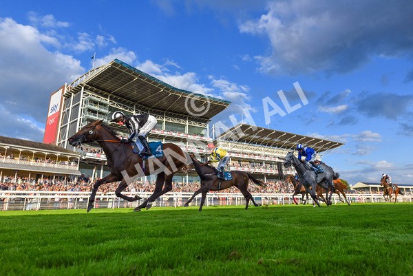 260724-Race 5-Verbier-1121 - Race 5 7.50pm British EBF Lyric Fillies' Stakes