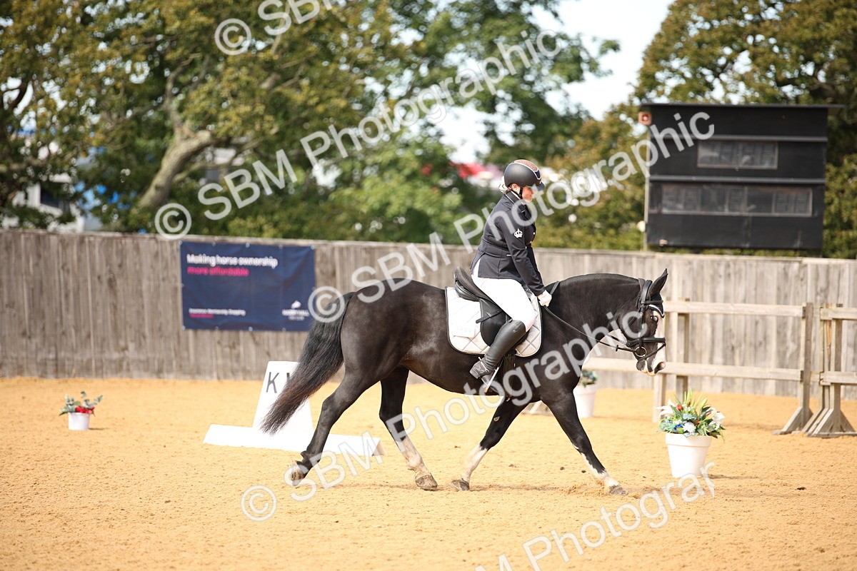 SBM_24090 - D5 - Small Tour Championship - Intro C