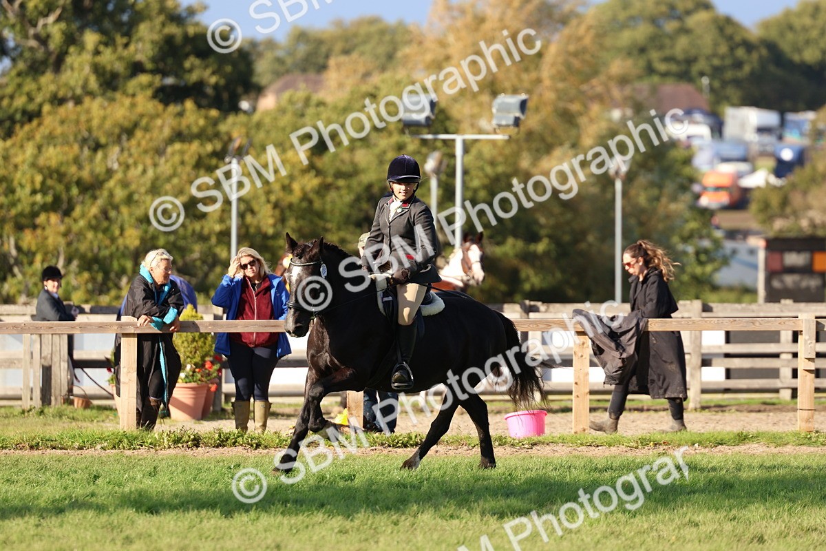 SBM_52523 - S13 - Pony Club Pony
